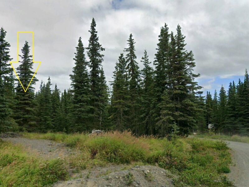 Property Featured Image